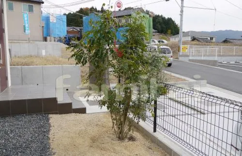 栗東市　車庫リフォーム 植栽：シンボルツリー