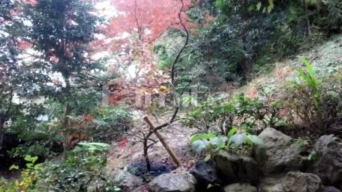 宝塚市　植栽 イロハモミジ　和風庭園 ゴロタ石