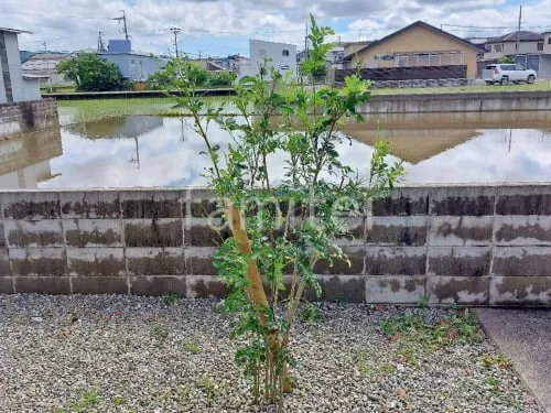 和歌山市 エクステリア工事