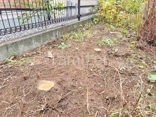 精華町 既存植栽伐採