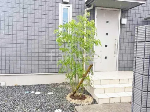 栗東市 植栽工事