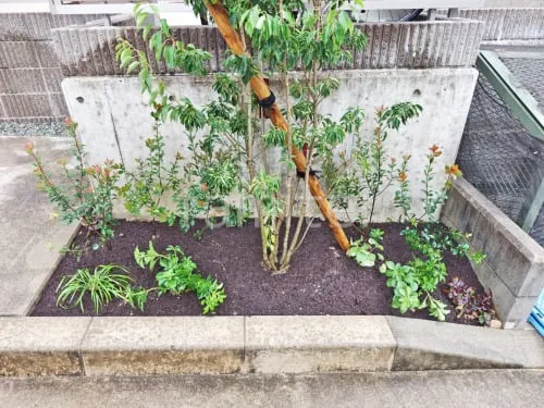 西宮市 植栽工事