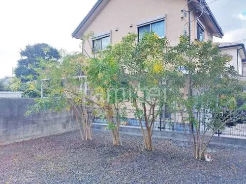 和歌山市 植栽 葉刈り剪定