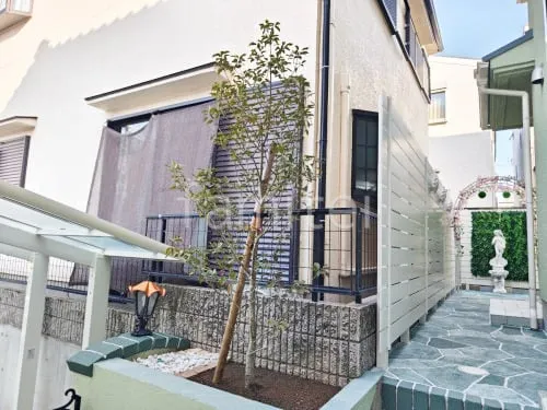 伊丹市 植栽工事