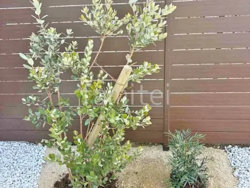 東近江市 新築ベーシック オープン外構