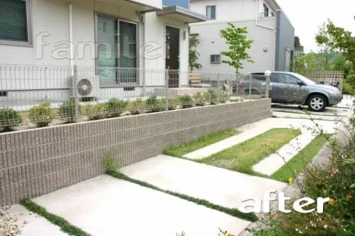 和泉市　駐車場リフォーム　シンボルツリー：ホンコンエンシス