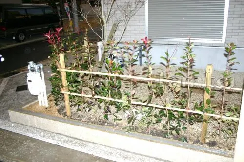 泉大津市　新築外構セミクローズ　生垣　タイルステップデッキ