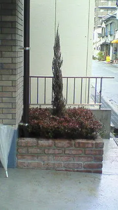 尼崎市の花壇植栽工事