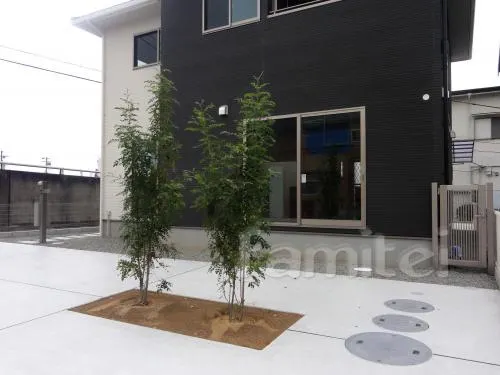 阪南市　オープン外構　シンボルツリー　カーポート