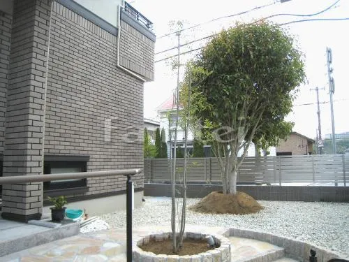 川西市 シンボルツリー シマトネリコ