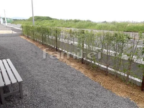 野洲市　新築オープン外構 アプローチ 床タイル貼り300角　カーポート エフルージュグラン