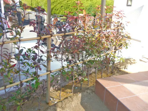 吹田市 新築シンプル オープン外構 玄関まわり 門柱 照明 花壇 ポスト 角柱 階段 手すり カーポート 土間コンクリート スロープ 目隠しフェンス 生垣 タイルデッキ 立水栓 犬走り 防犯砂利敷き バラス砕石