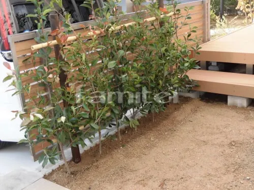 西宮市 リフォームシンプル セミクローズ外構 カーポート シンボルツリー 生垣　ウッドデッキ 目隠しフェンス