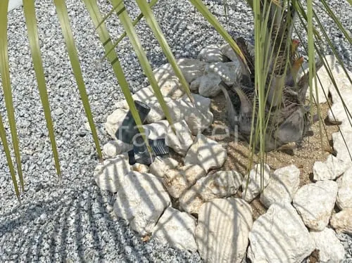 葛城市 新築ベーシック オープン外構