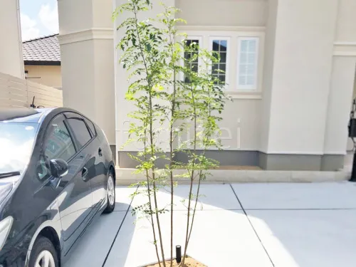 茨木市 新築ベーシック オープン外構