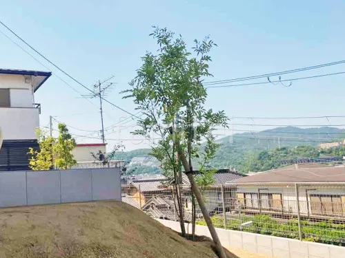 宝塚市 新築シンプル オープン外構