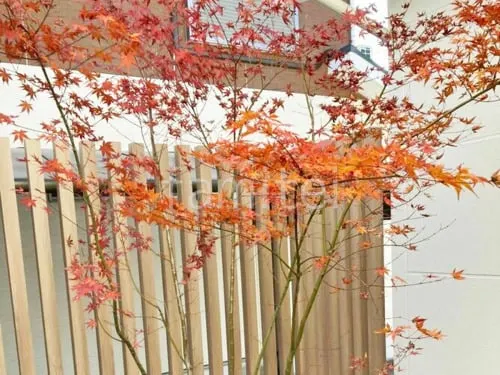 堺市 お庭のリフォーム