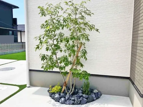 海南市 新築シンプル オープン外構