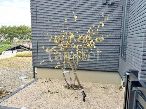 大津市 新築シンプル オープン外構