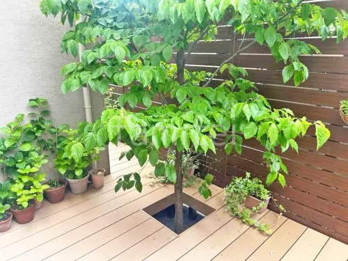 伊丹市 お庭のリフォーム