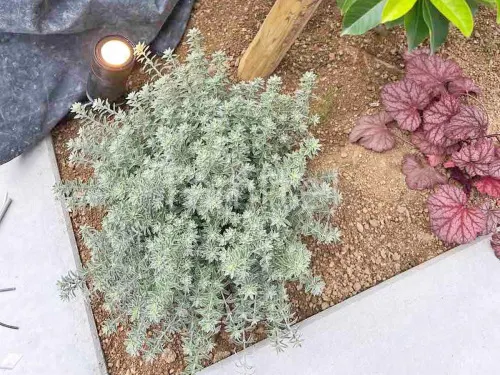 箕面市 新築シンプルオープン外構