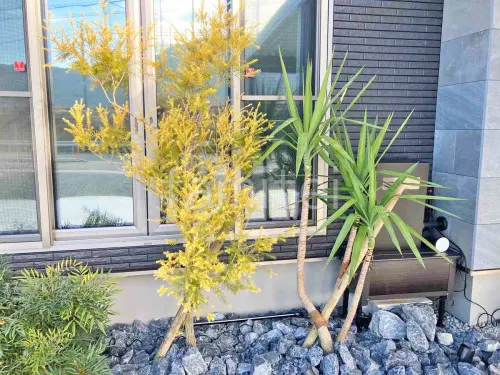 紀の川市 新築シンプル オープン外構