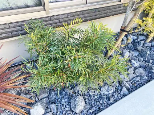 紀の川市 新築シンプル オープン外構