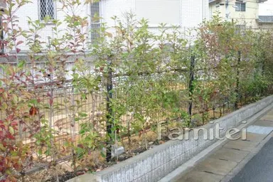 施工例 新築高台オープン外構