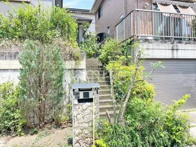 施工例 葉狩り 剪定