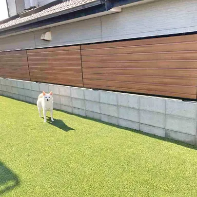 庭とペットの後悔しない庭づくり|安全対策からドッグランDIYまで