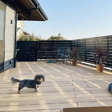 【犬用ウッドデッキ】失敗しない選び方|素材・柵・熱さ対策の注意点