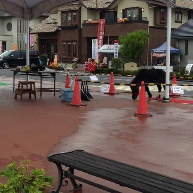 奈良 外構 本日のイベントのお知らせ