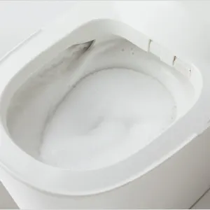 自動でお掃除してくれるトイレパナソニック【アラウーノ】
