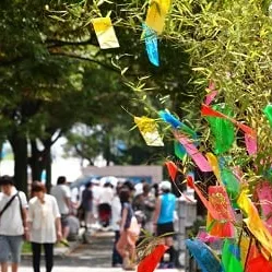 浴室壁をアートに飾る♪ノーリツ「ユパティオ」発売！