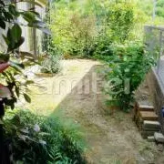 庭の雑草、お手入れが大変。何か良い方法はない？