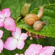 NEW！浴室暖房換気乾燥機に”木目調タイプ”が出ました☆