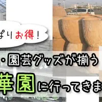 人工芝、バラアーチも売ってました！「国華園」