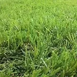 「人工芝」を使ったお庭プラン♪