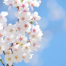 リクシルキッチン「リシェルSI」取付込み!448,000円〜♪