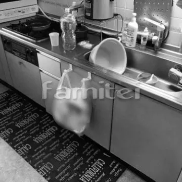 〈施工例〉　流し台をシステムキッチンへリフォーム