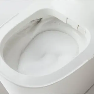 自動でお掃除してくれるトイレパナソニック【アラウーノ】