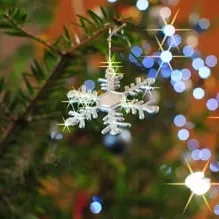 クリスマスクリーニングでレンジフードもカンタンキレイに+ ゜*