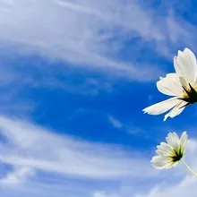 ホーロー洗面台「ファミーユ」がリニューアル☆