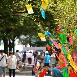 浴室壁をアートに飾る♪ノーリツ「ユパティオ」発売!