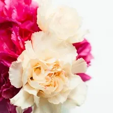 LIXIL春のショールームフェア2015が開催中☆