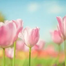 お客様も絶賛♪高品質ステンレスバス「エメロード」