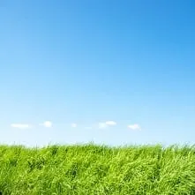 トクラス「ベリー」なら秋色カラーも充実です☆