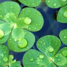 洗面台は収納力もポイント。奥ひろ収納「奥ひろし」