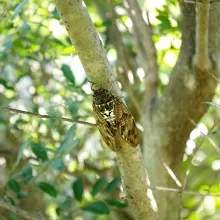 LIXILクールリフォームキャンペーンがスタート♪