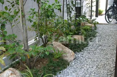 和風庭園